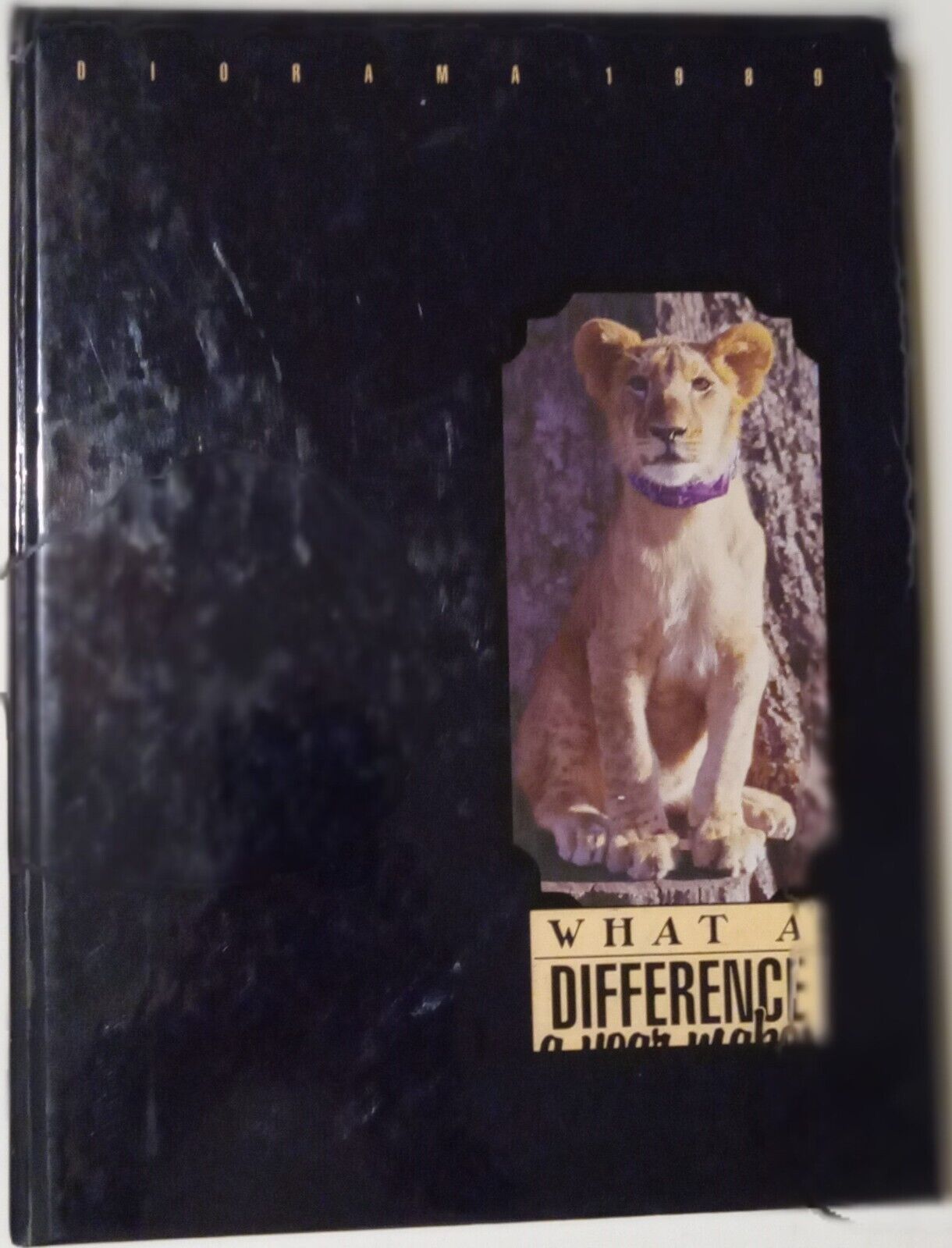 UNIVERSITY OF NORTH ALABAMA, FLORENCE AL, DIORAMA/ANNUAL/YEARBOOK 1989 GO LIONS