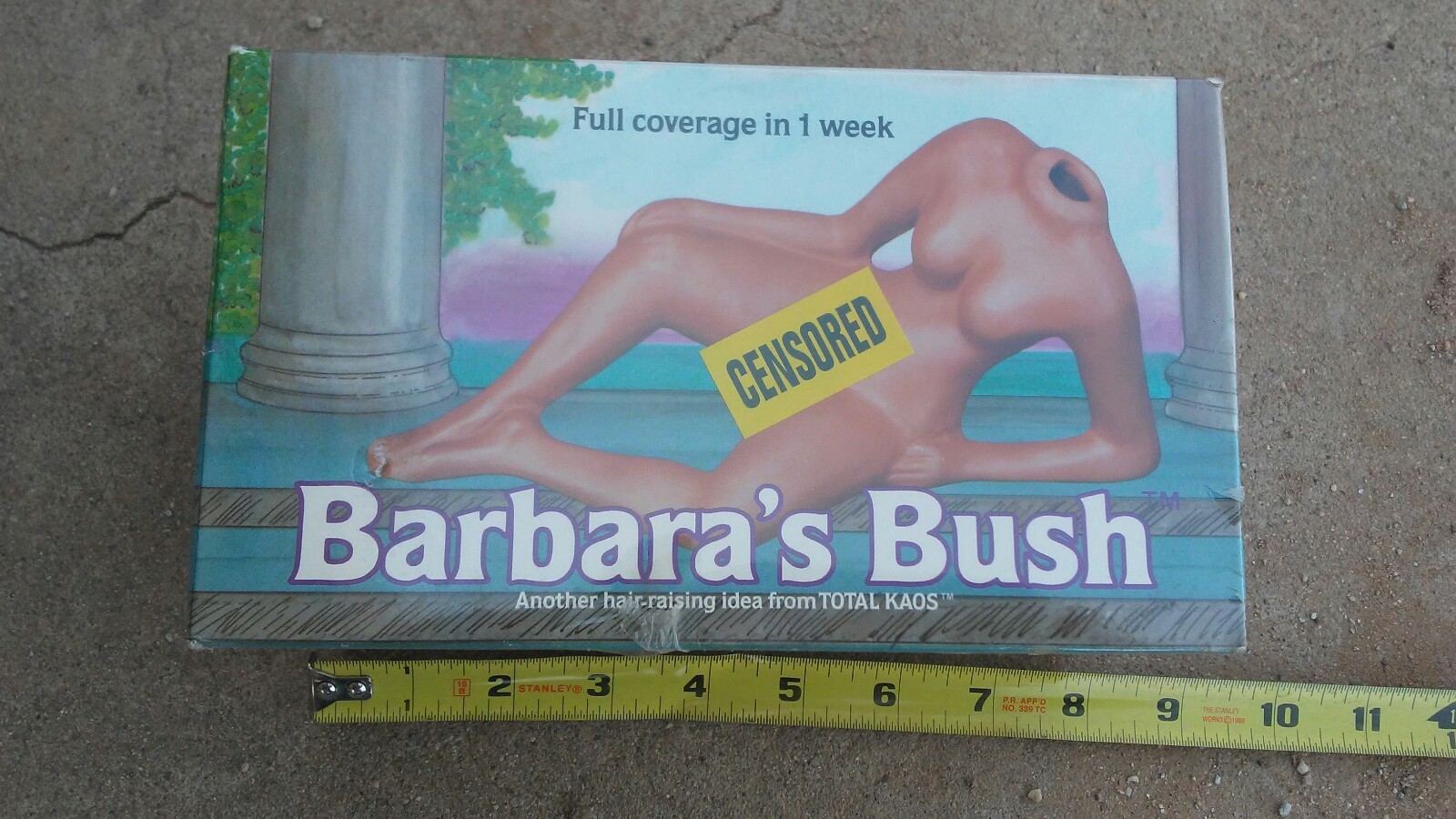 1991 BARBARA'S BUSH Chia Pet planter ORIGINAL BOX Vintage novelty, fine shape