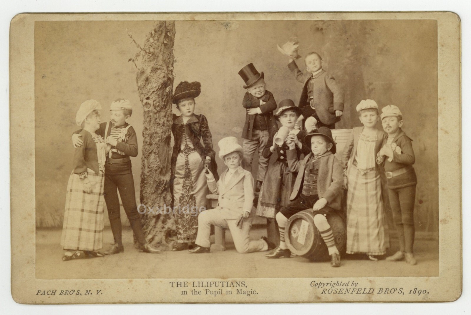 Liliputians 1890 Circus Sideshow Dwarf Midget Troop Little People Cabinet Card