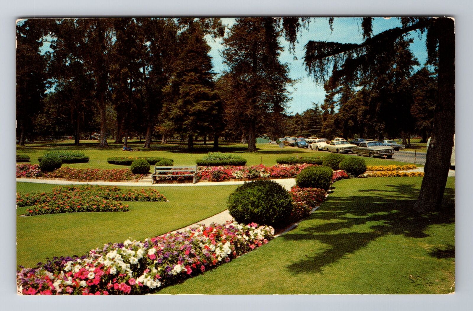 Long Beach CA-California, Sunken Garden, Antique, Vintage Postcard