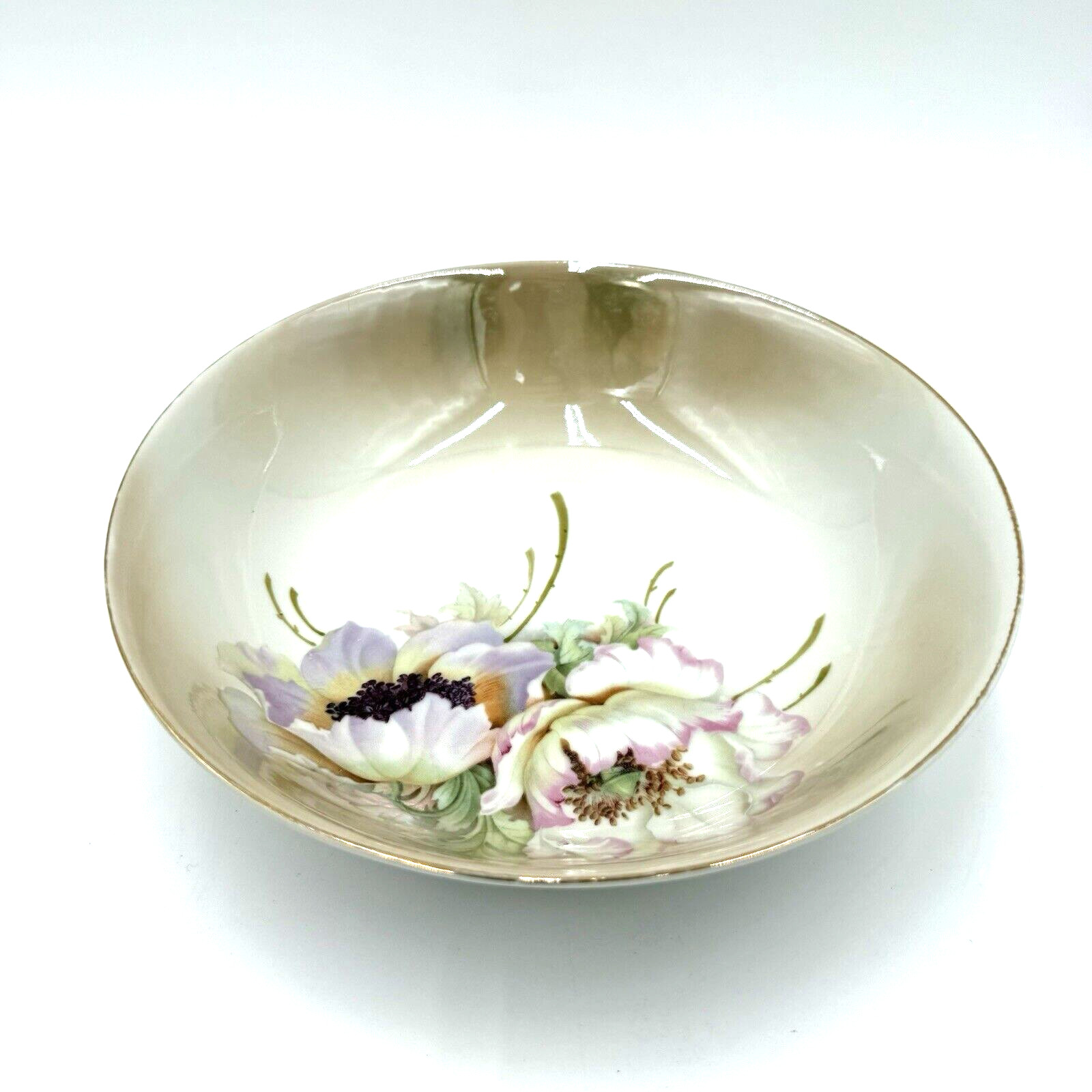 Hand Painted Bavaria Munich Porcelain Bowl Floral Germany Vintage 8.5\
