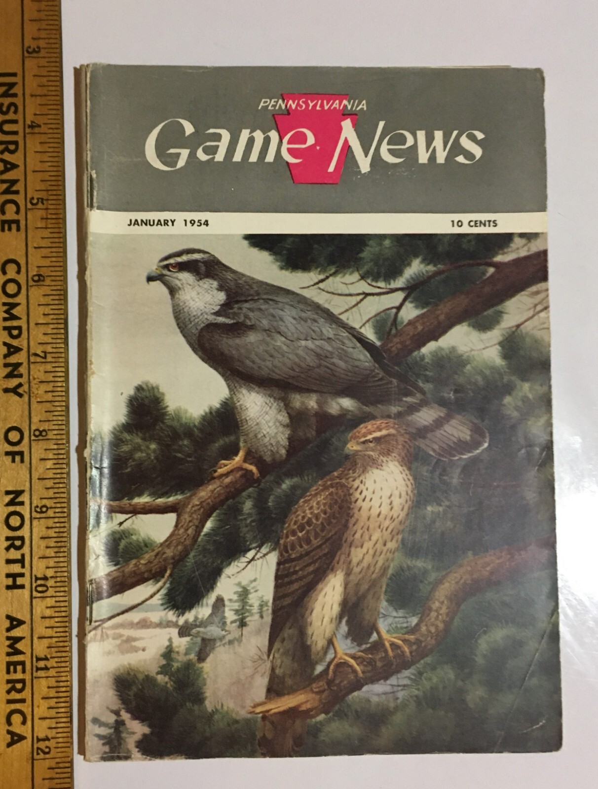 Pennsylvania Game News Magazine Booklet January 1954 Used