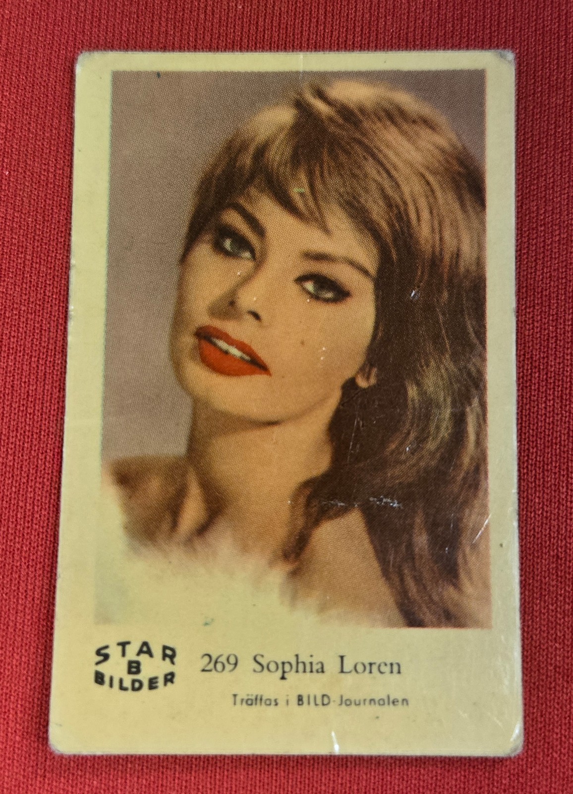 1962 Sophia Loren Star Bilder #269 Vintage Italian Movie Star Actress Card