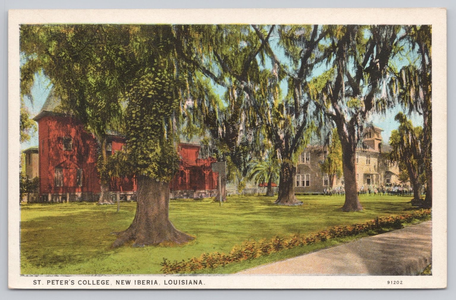 St. Peter's College New Iberia Louisiana Vintage Postcard C.T. American Art