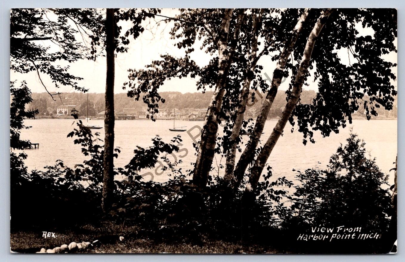 K60/ Harbor Point Springs Michigan RPPC Postcard c1940s View from Shore 235