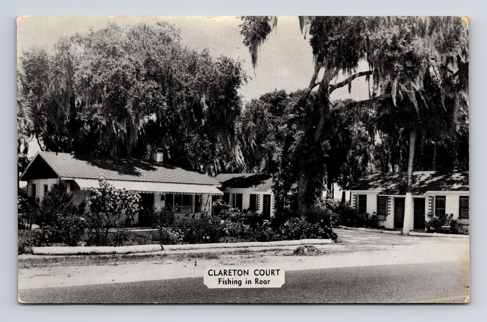 Clareton Court Motel Fishing In Rear New Smyrna Beach Florida FL Postcard
