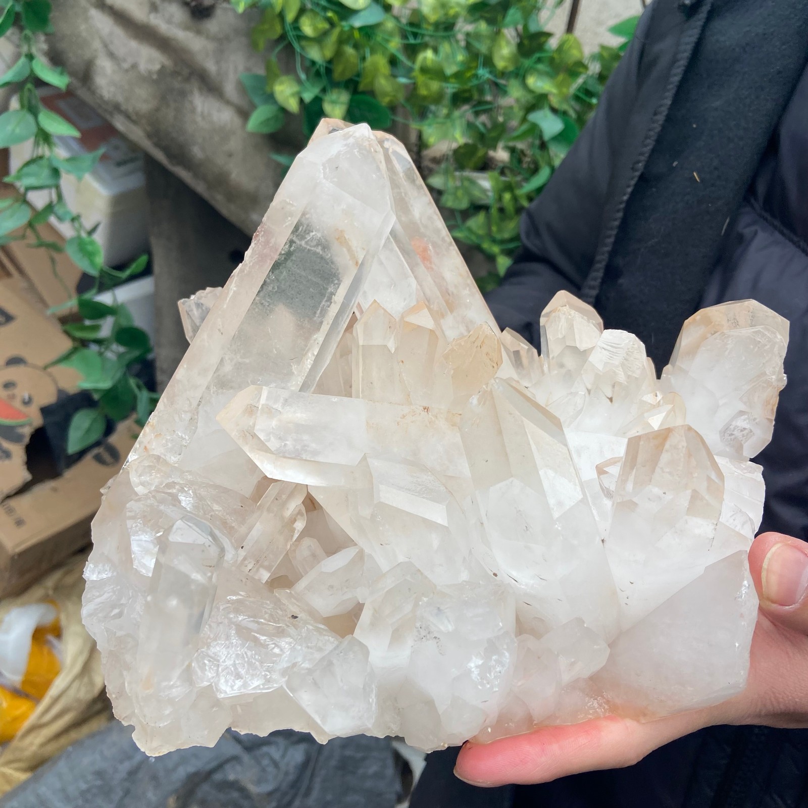9.4LB A++Large Natural clear white Crystal Himalayan quartz cluster /mineralsls