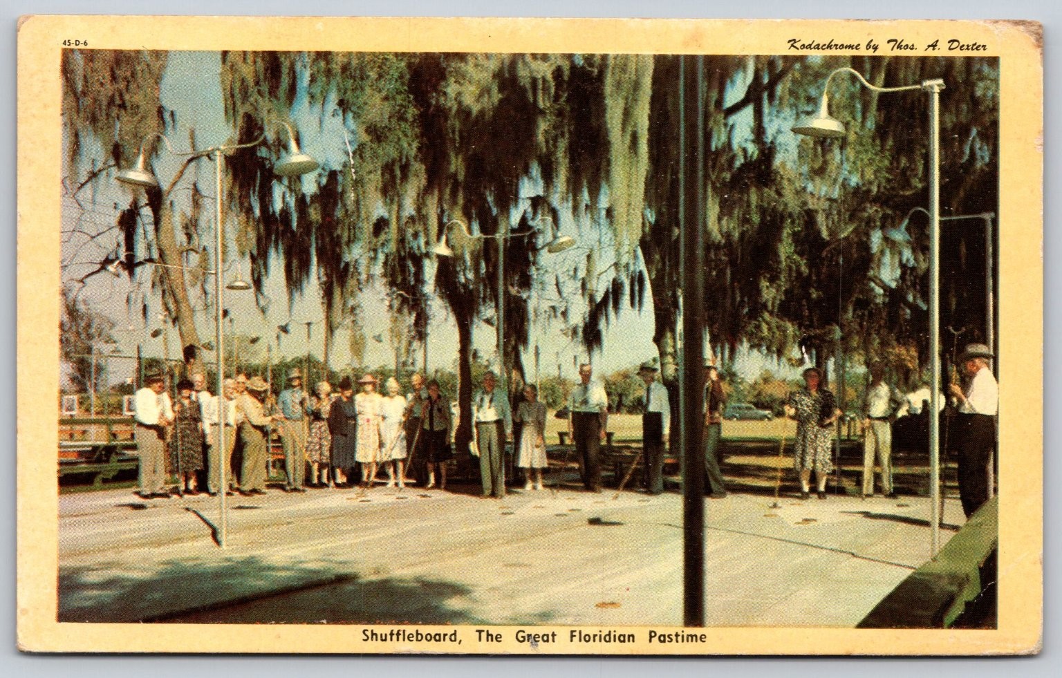 1955 Avon Park Florida Shuffleboard Kodachrome Postcard by Dexter Press E190