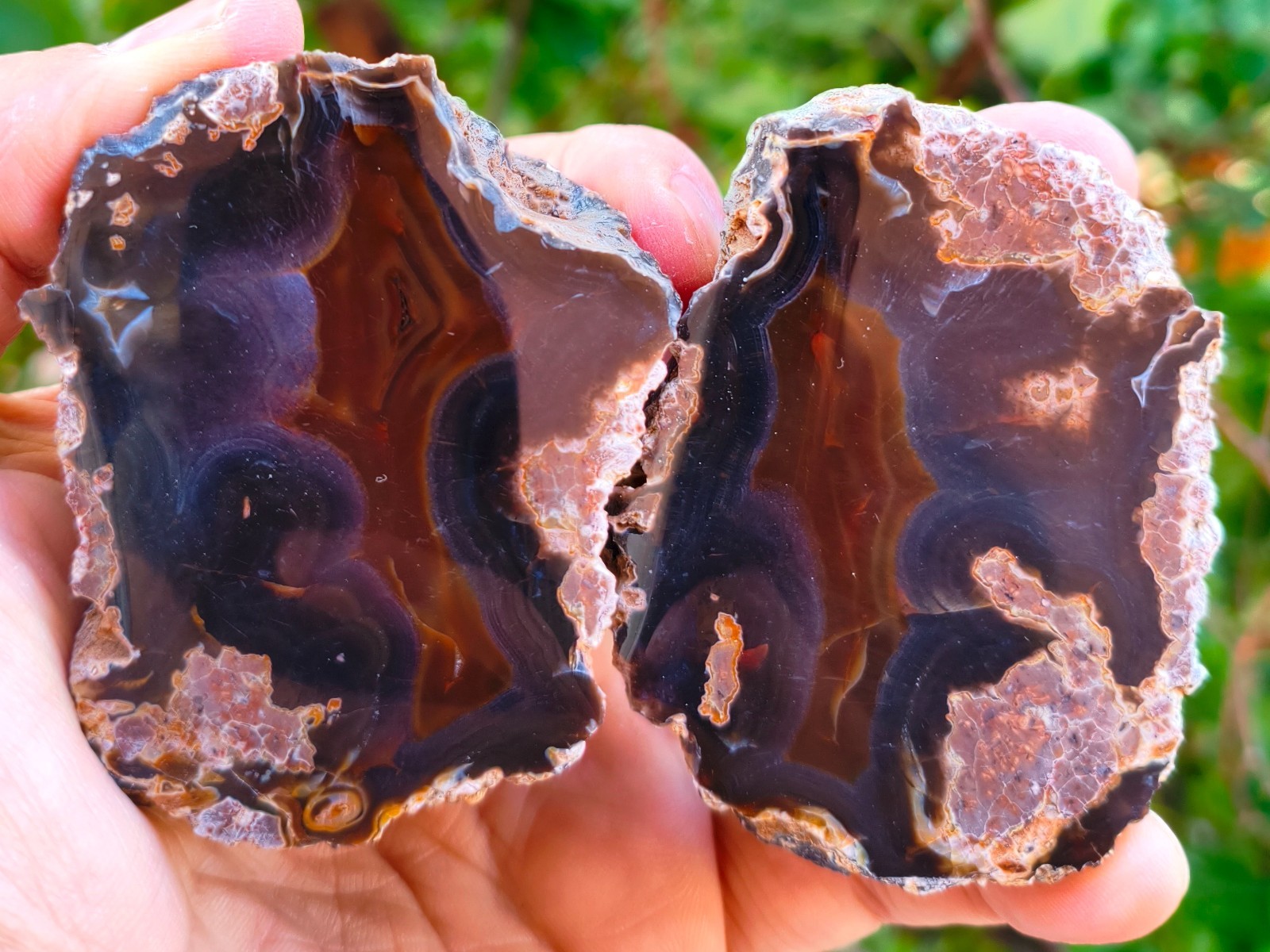 Mirror Polished Extremely Rare Turkish Red Fox Thunderegg Agate Pair Uv