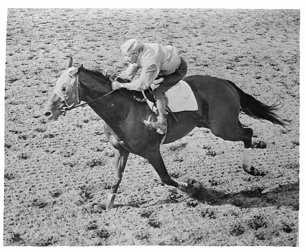 Nashua greatest money winning race horse of all time top jockey E- 1956 Photo