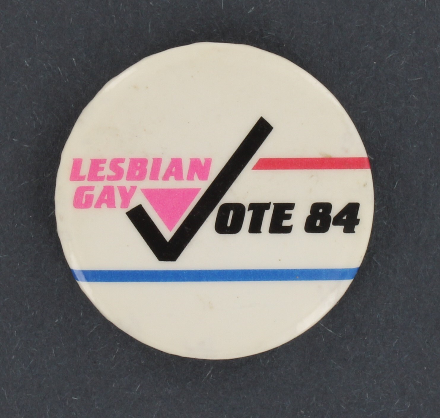 Gay Lesbian Vote 1984 First Gay Caucus Democratic Party LGBTQ Politics 1805