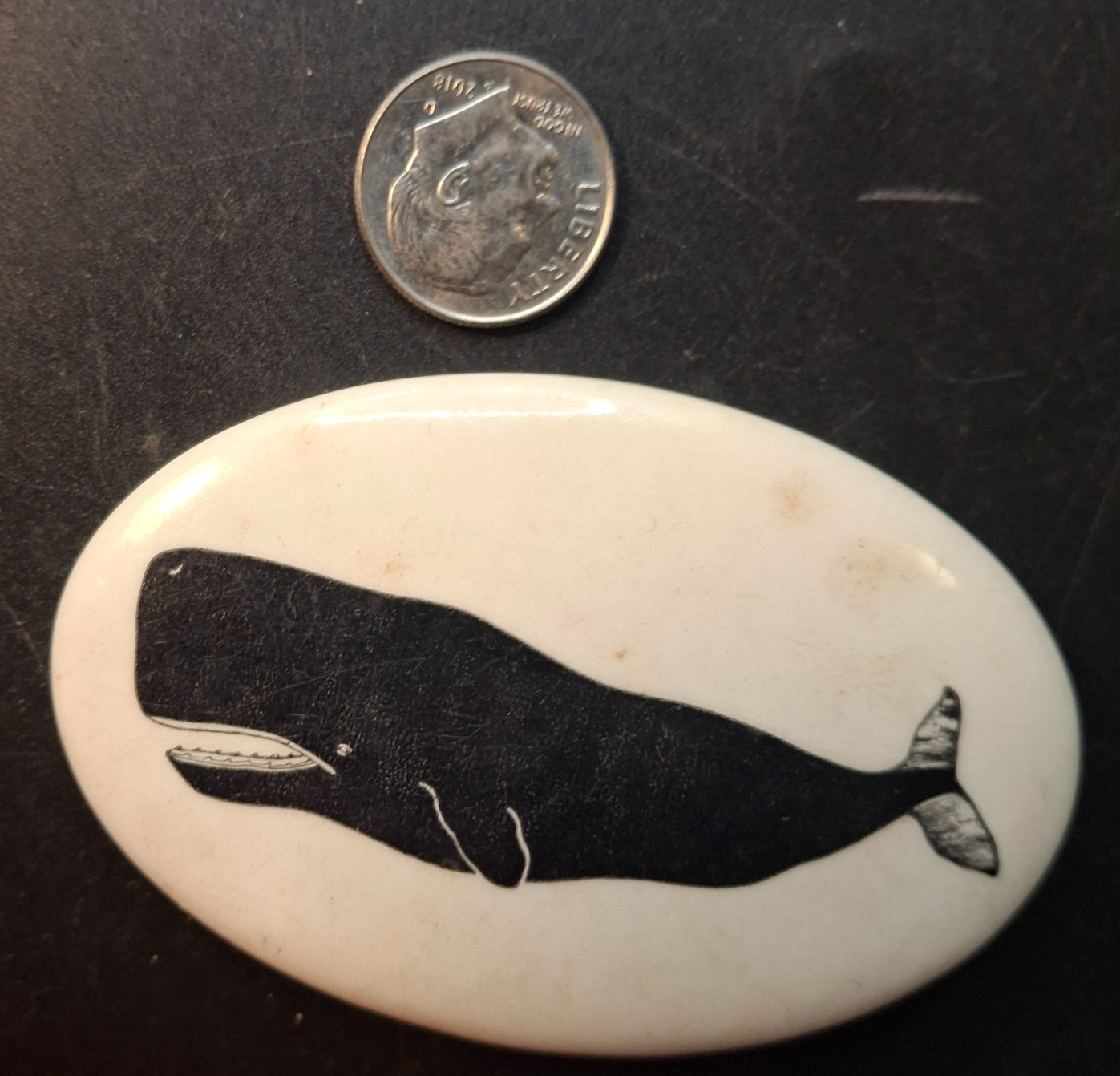 Vintage Sperm Whale Pinback Button Marine Life Ocean Nautical Animal Badge 1970s