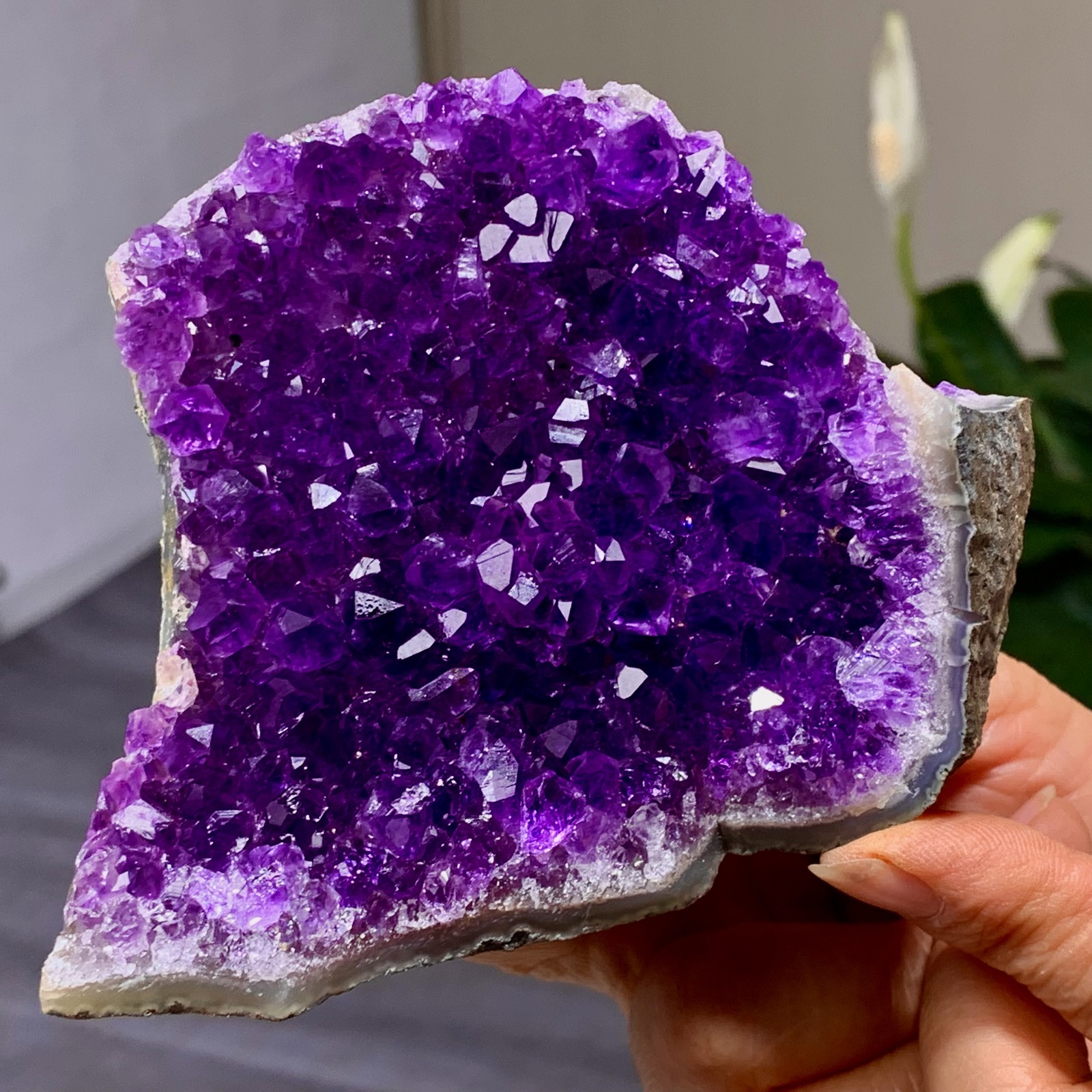 273G Natural agate Amethyst geode quartz cluster crystal specimen Healing