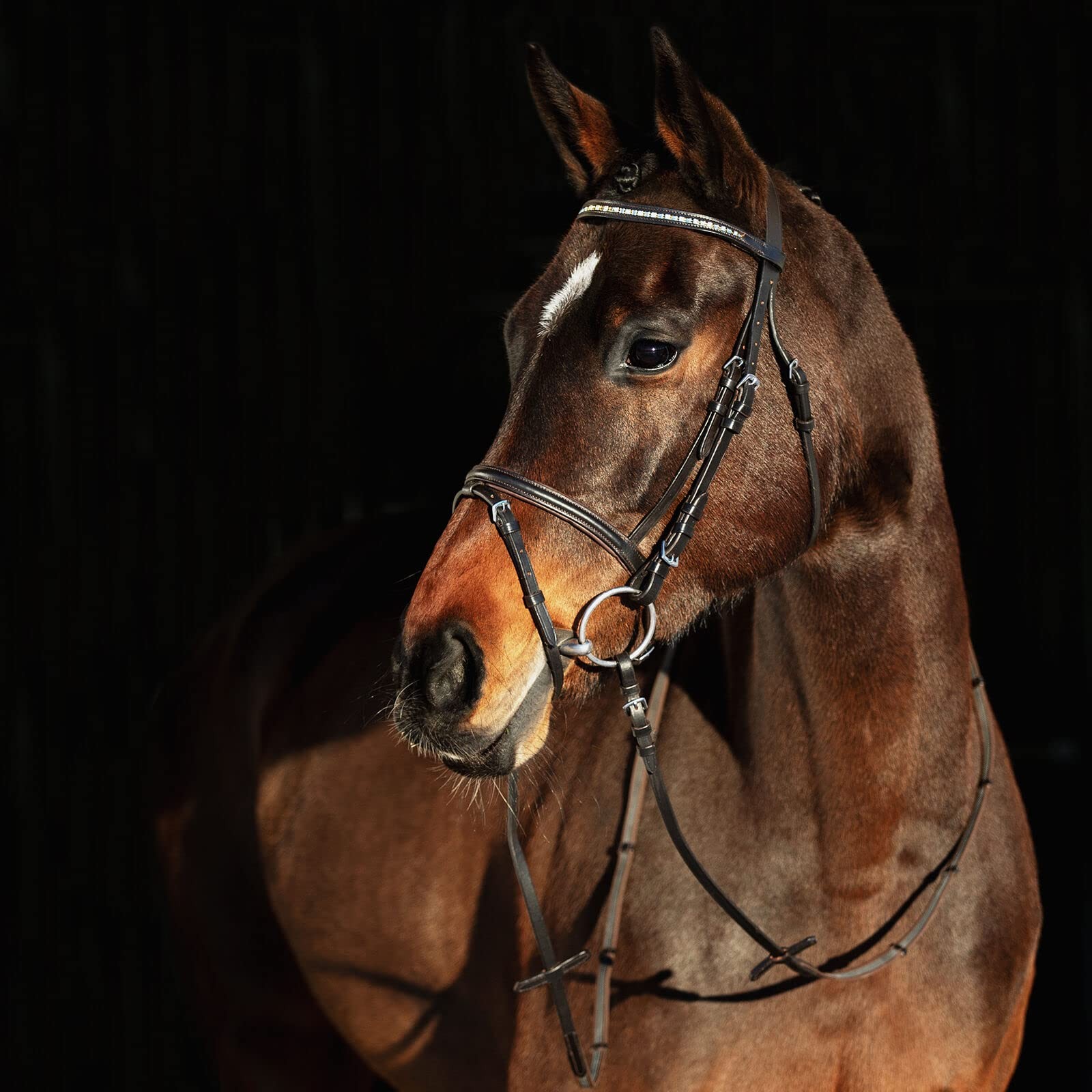 HORZE Weston Padded Leather Horse Snaffle Bridle with Flash Noseband, Brown HORZE Weston Padded Leather Horse Snaffle Bridle with Flash Noseband, Brown