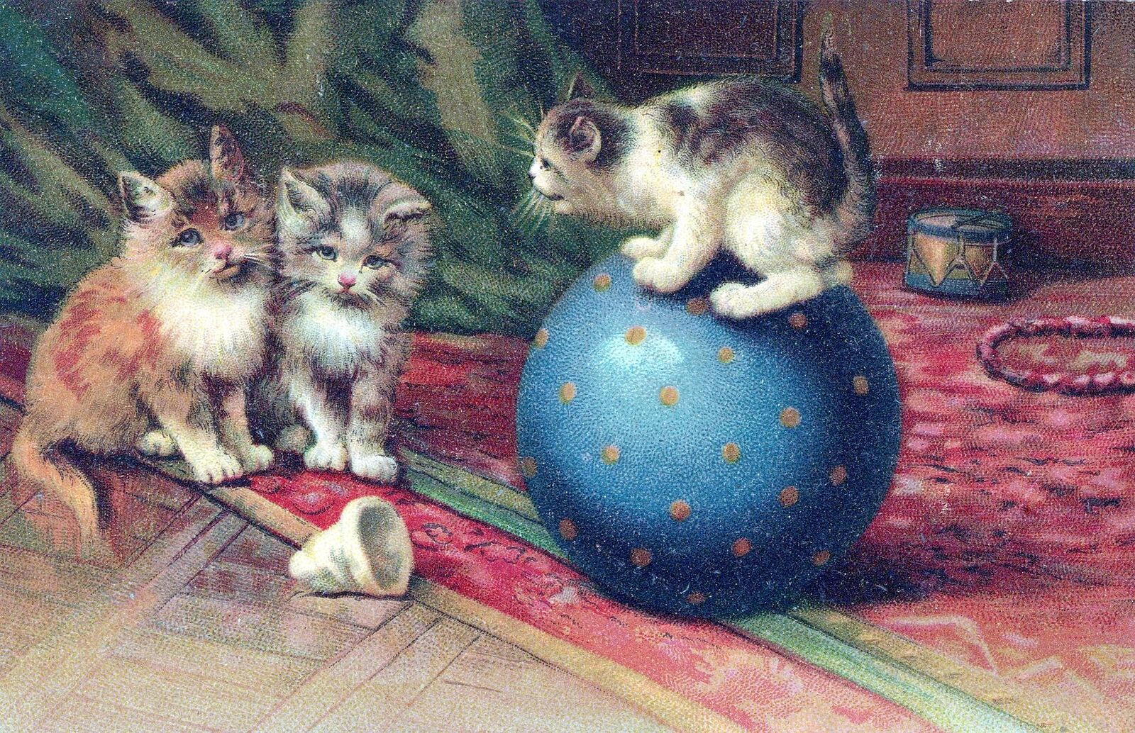 Three Cats And Ball Postcard - 1911