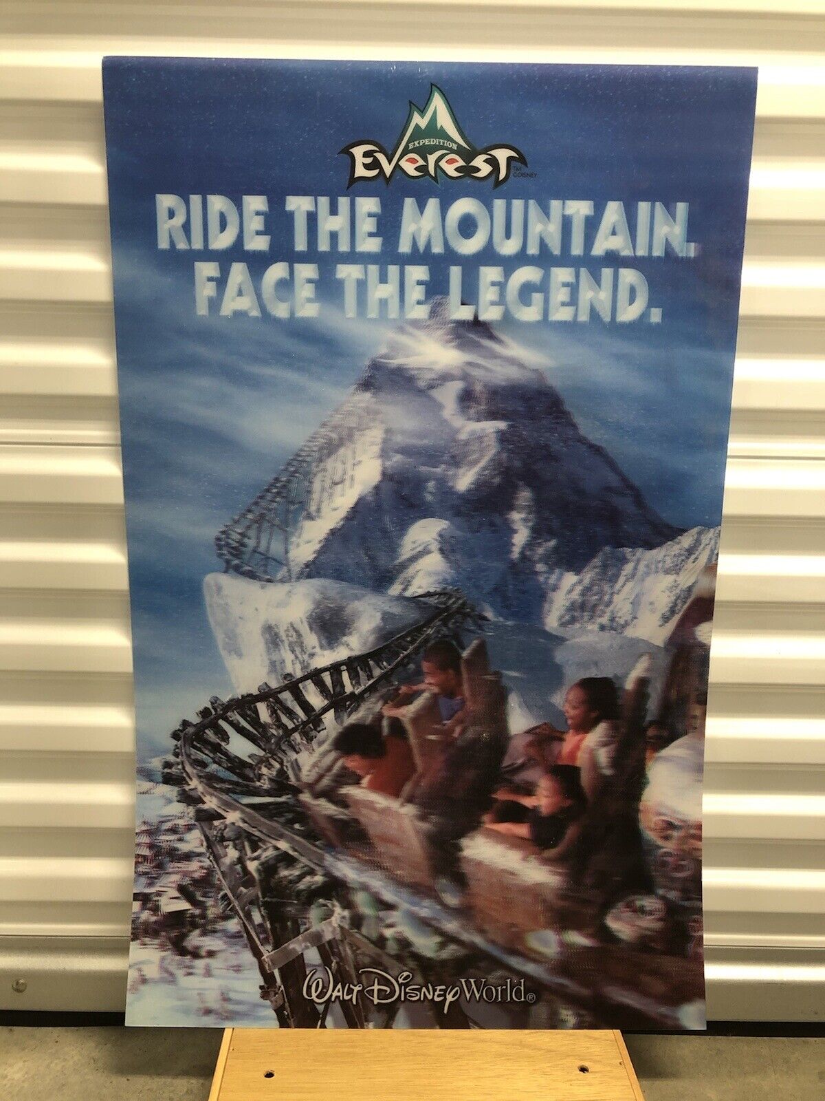3D Poster Disney World Expedition Everest Roller Coaster Poster 5x22 rare 