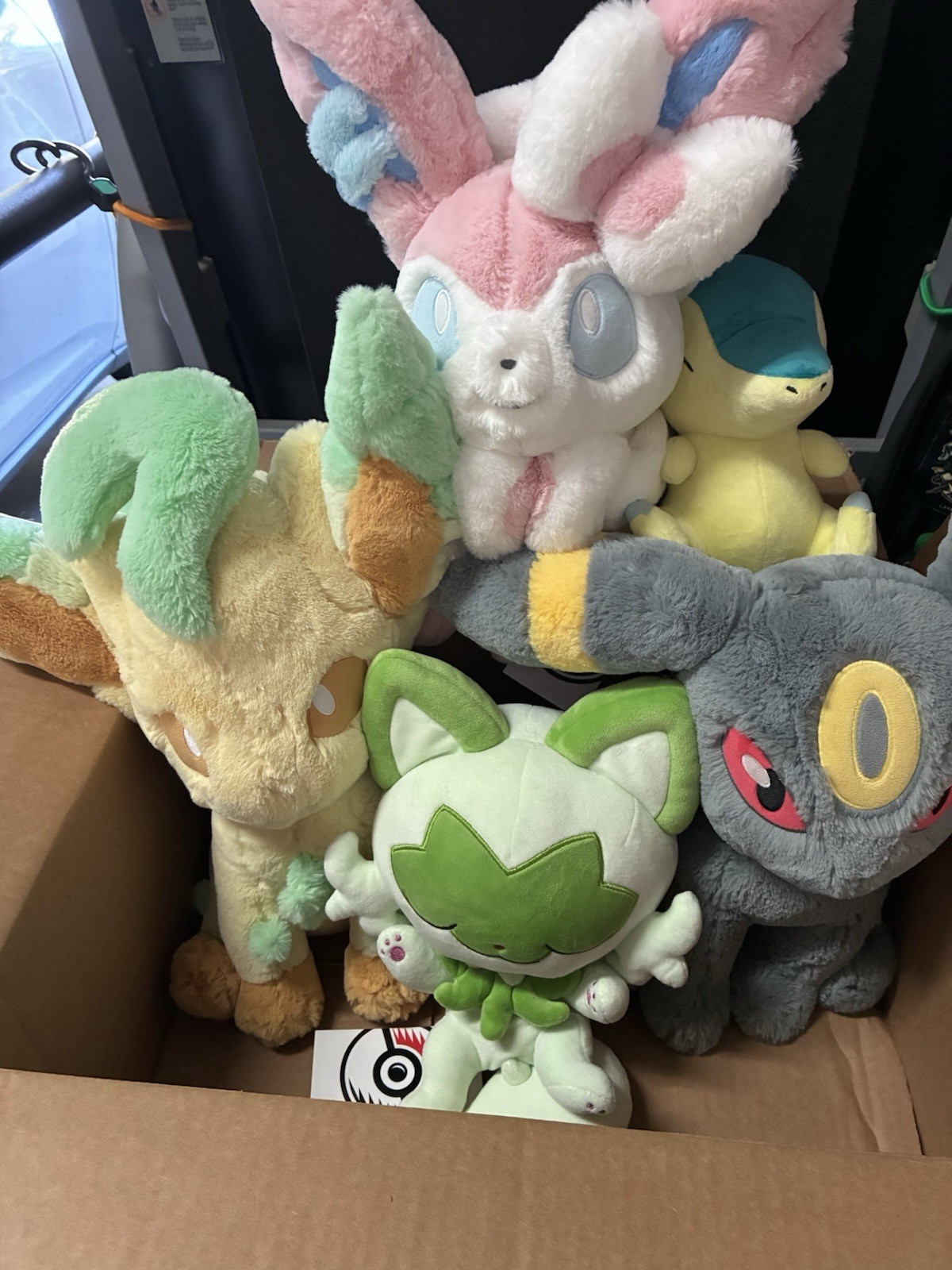 FIVE  Pokemon Center Umbreon, Cydaquil, Sprigatito, Sylveon, Leafeon W/tag
