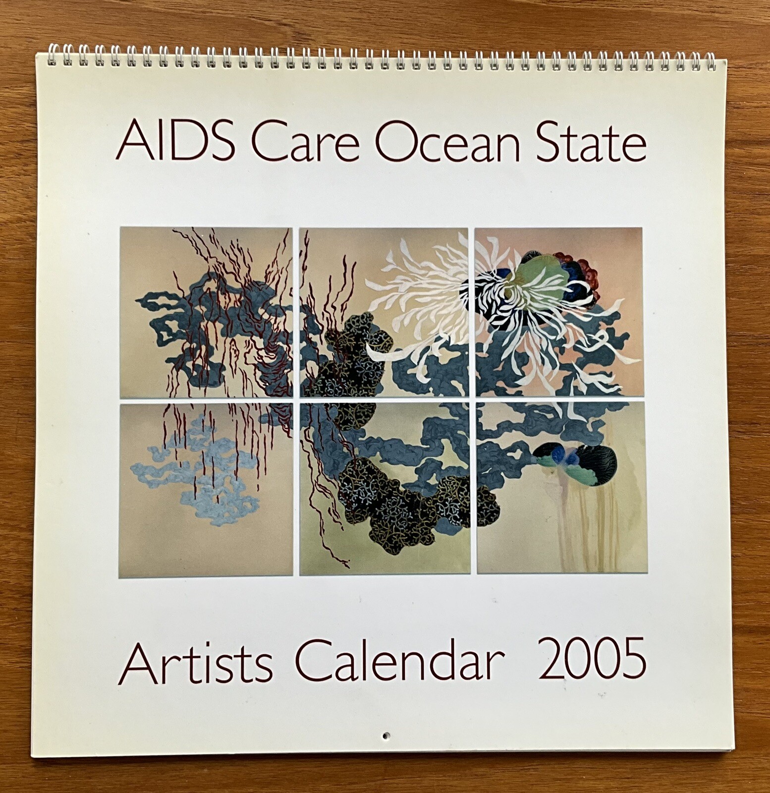 Vintage 2005 Providence Rhode Island Artist’s Calendar AIDS Care Ocean State