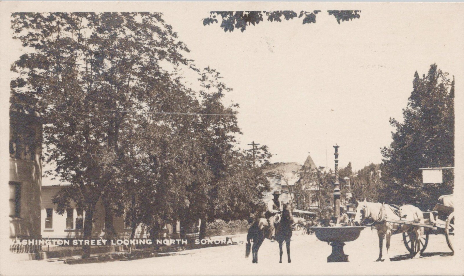 RPPC Sonora California Street Scene Horse at Fountain 1913 Tuolumne County