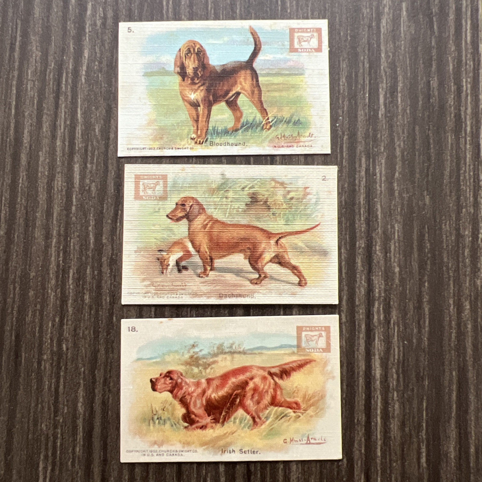 3 Vintage Dwight's Soda Champion Dog Series Trade Card 2, 5, 18 Bloodhound