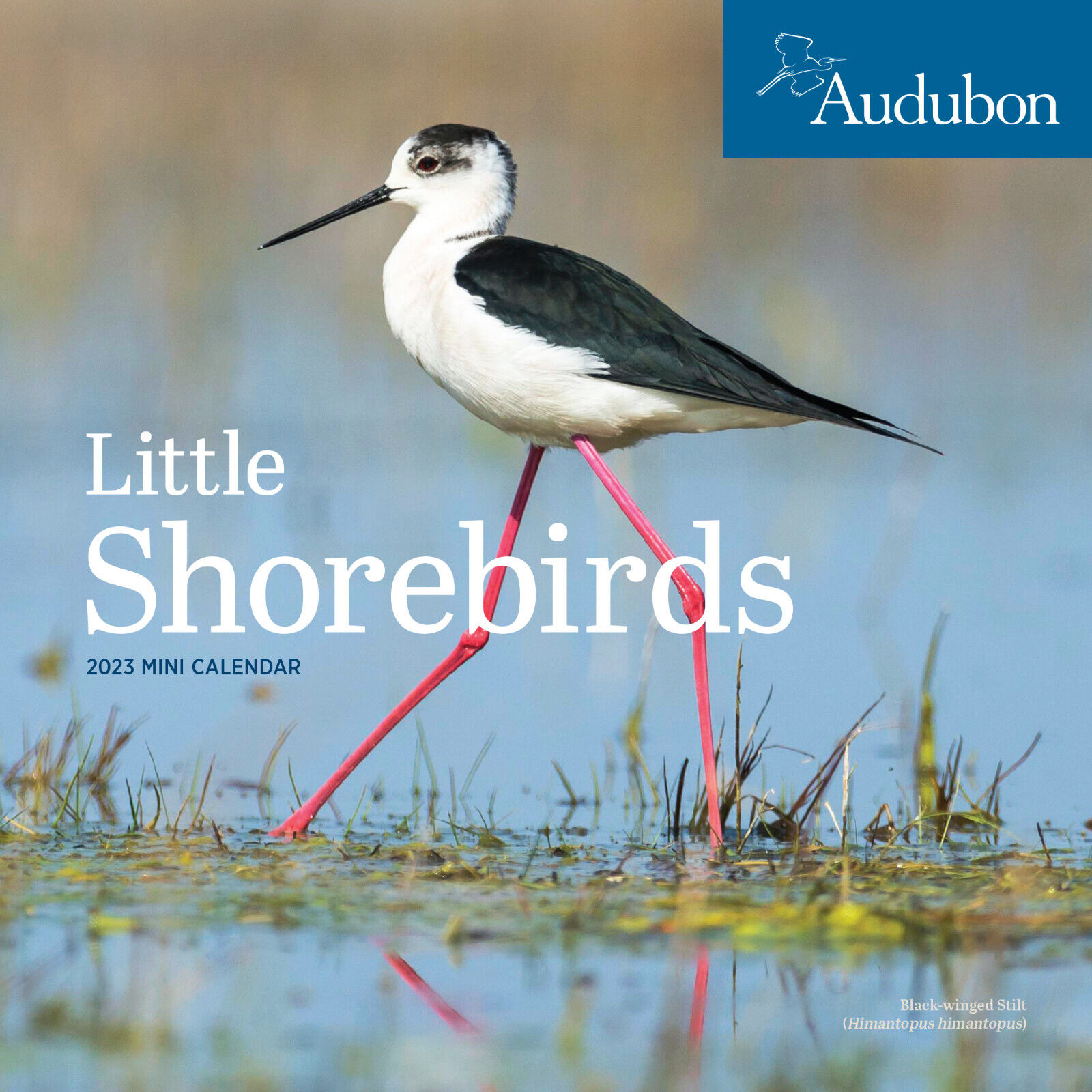 Workman Audubon Little Shorebirds Mini Wall Calendar 2023 w