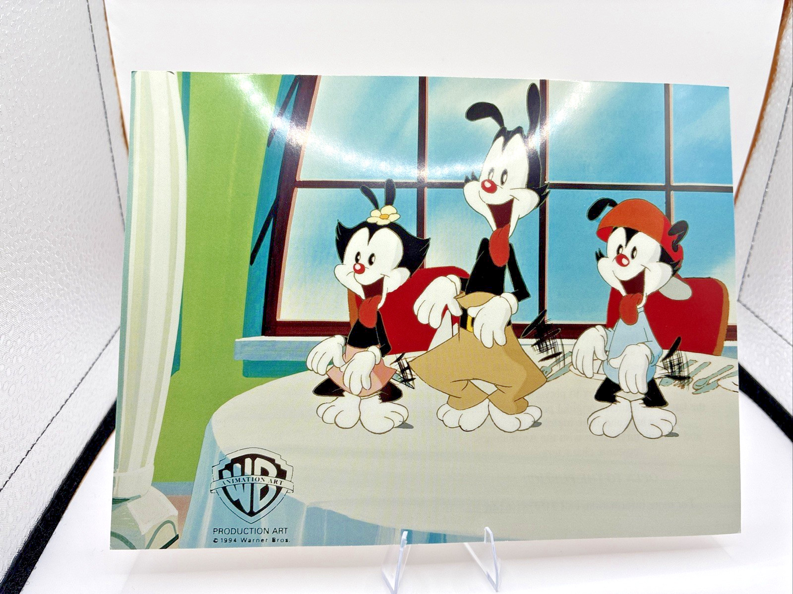 ANIMANIACS Original 1994 Promo  ADVERT Warner Bros Character Profiles Art Card