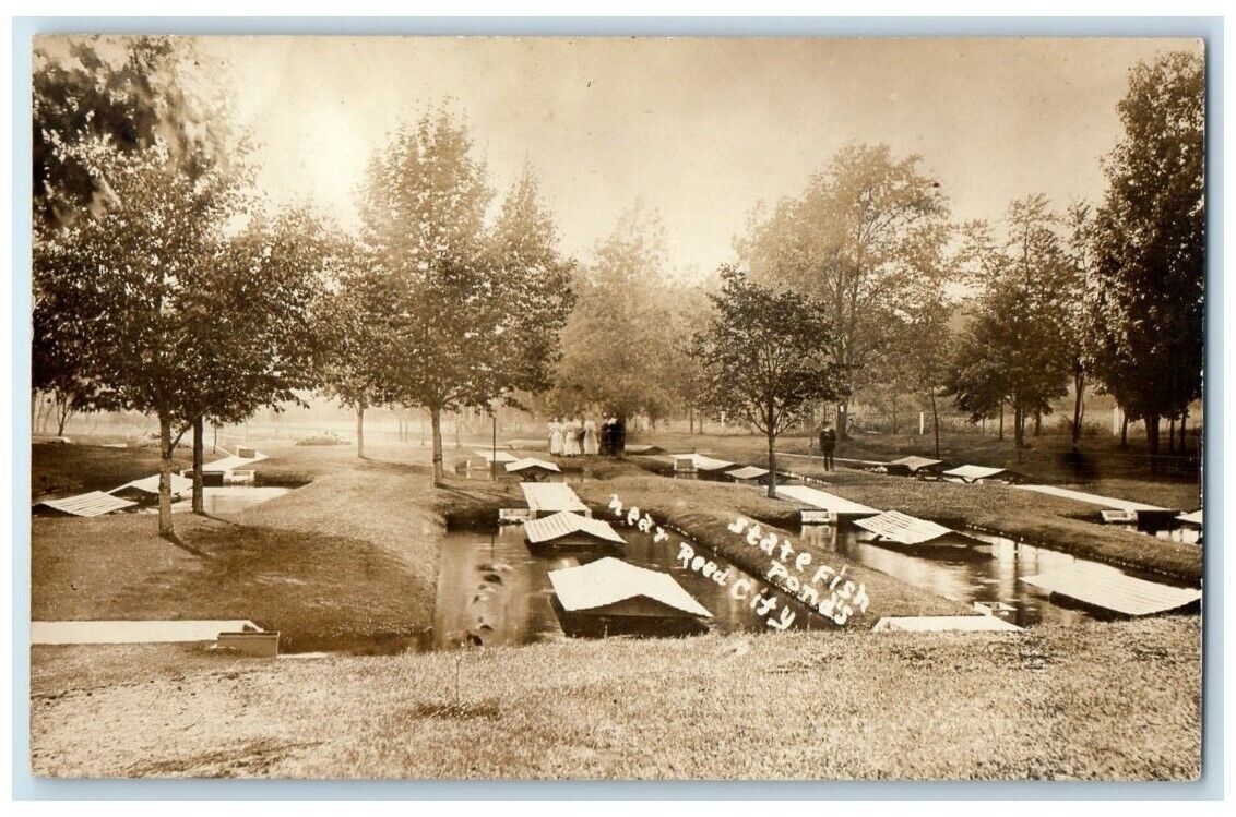 1913 State Fish Ponds View Near Reed City Michigan MI RPPC Photo Posted Postcard
