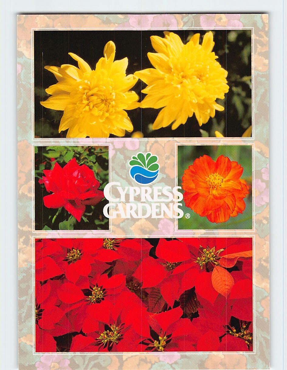 Cypress Gardens Florida USA G-64488