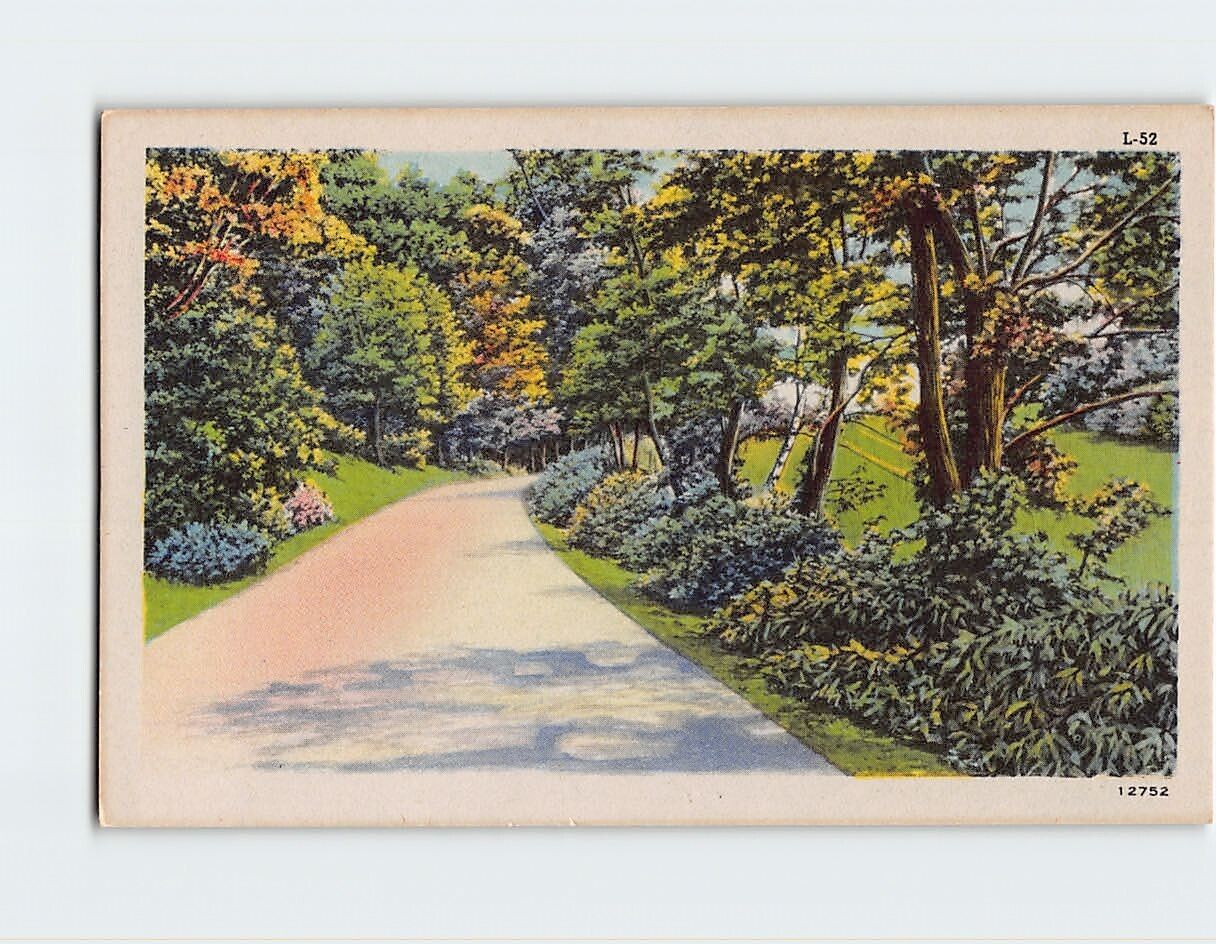 Postcard Road Grass Trees Nature Landscape Scenery