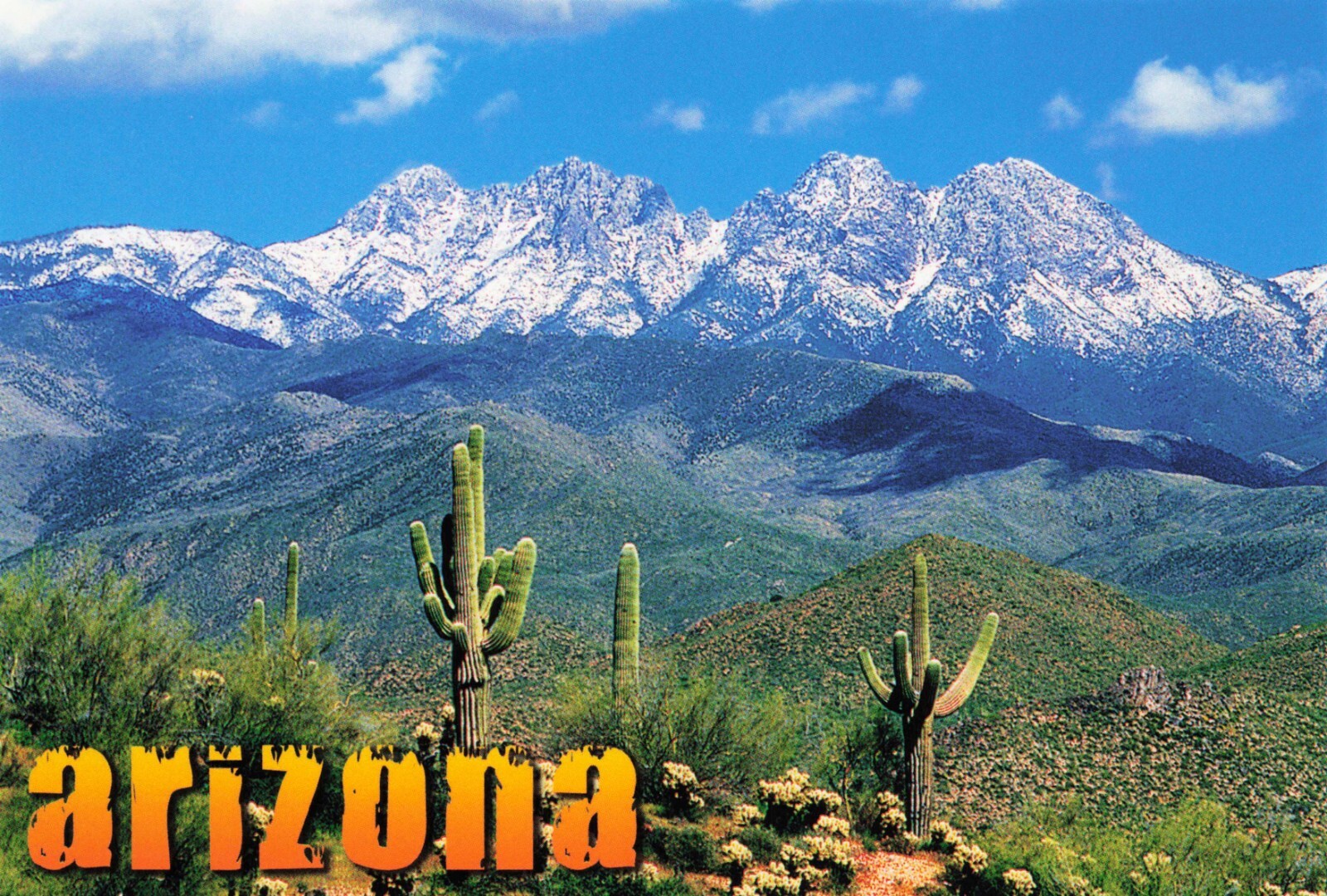 Arizona Scenic View 4 Peaks and Desert Continental Postcard Unposted Unused