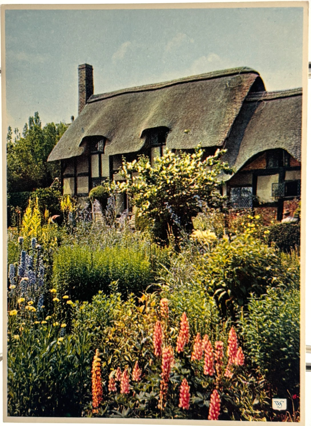 Anne Hathaway Cottage Shottery England Vintage Postcard