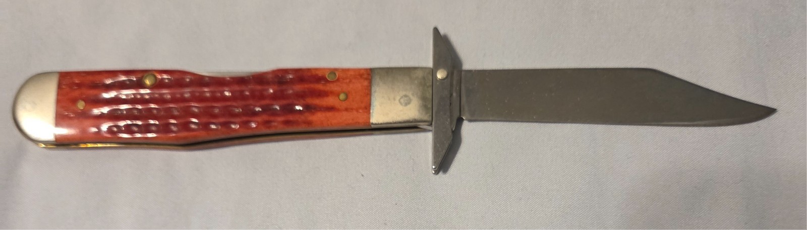 Case pocket knife Cheetah 61111/2 L