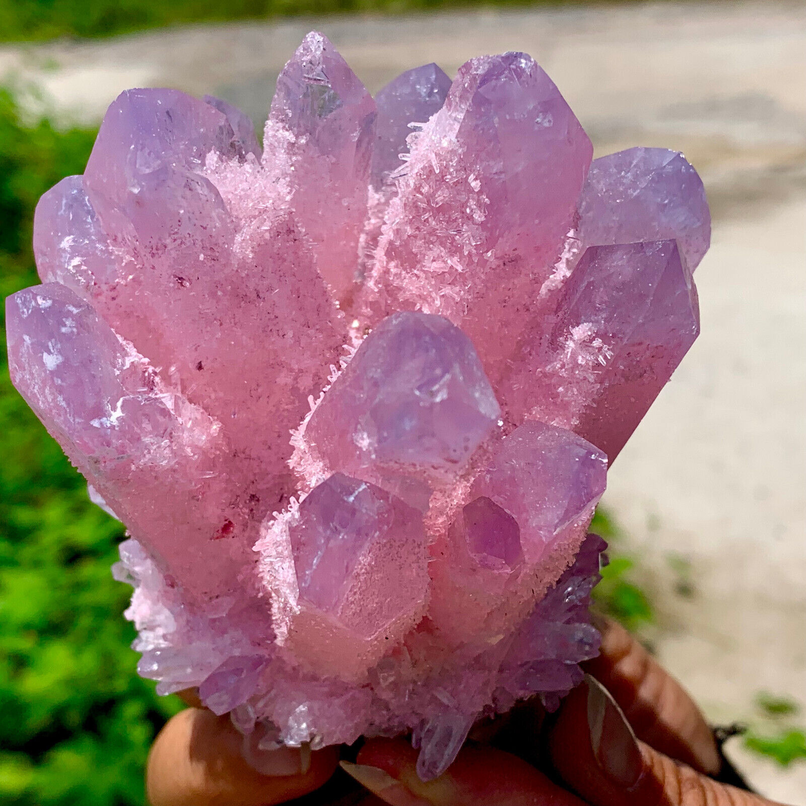 1.1LB Newly Discovered Pink Phantom Quartz Crystal Cluster Mineral