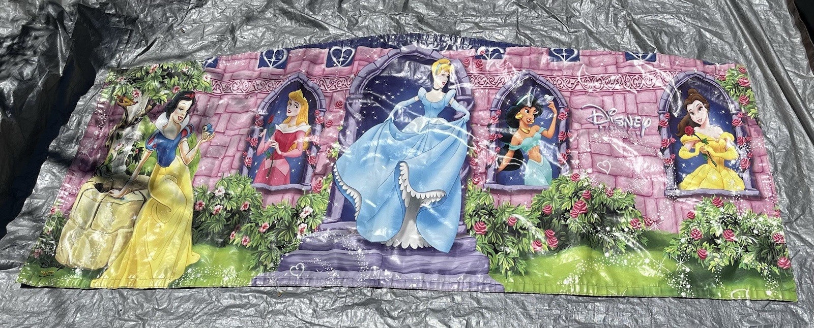 Disney Princesses Ninja Jump Bounce House Banner (13x13)