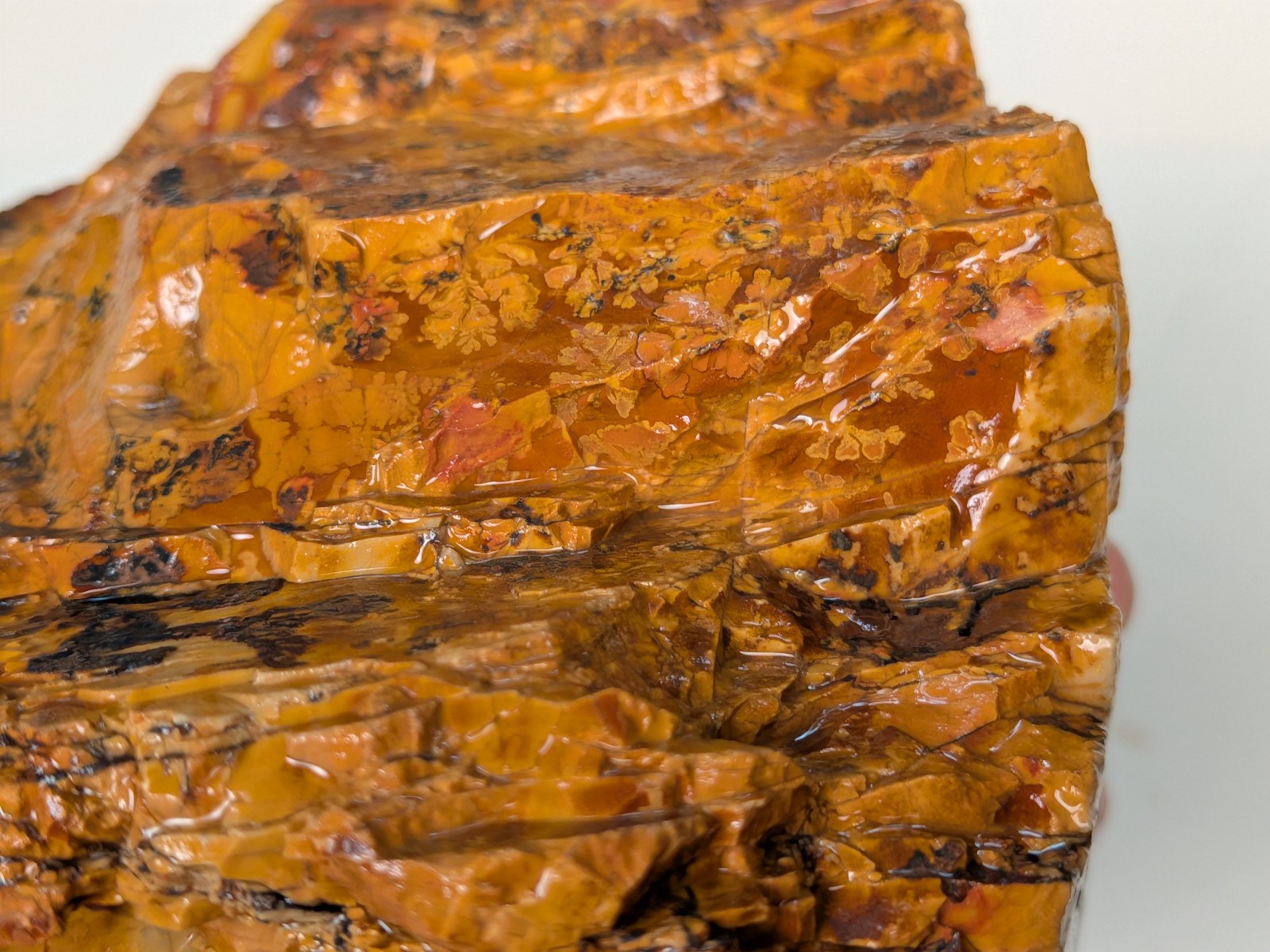 3.7 lb Beautiful Red Cherry Creek Jasper China Rough Lapidary Cabbing Specimen