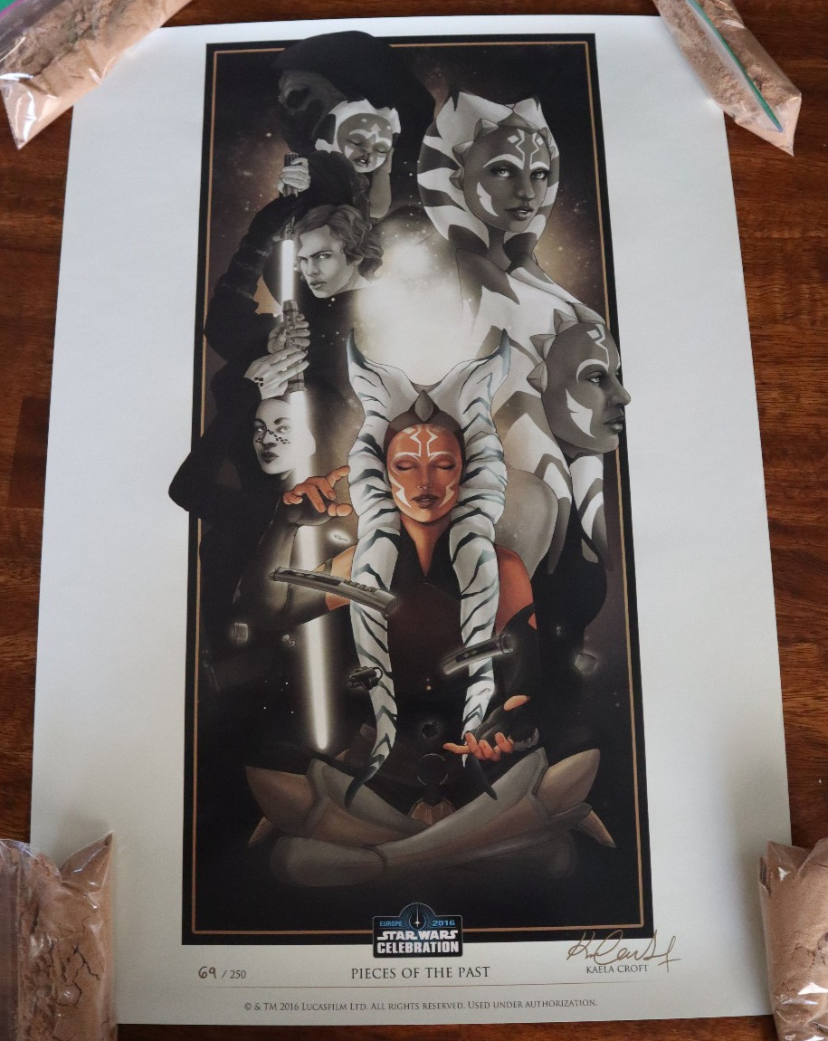 Star Wars Celeb. Europe 2016 Art Print \