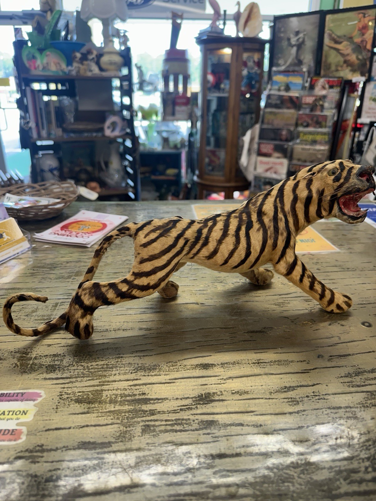 Antique Tiger Taxidermy Souviner Real Fur Hand Made Figurine African