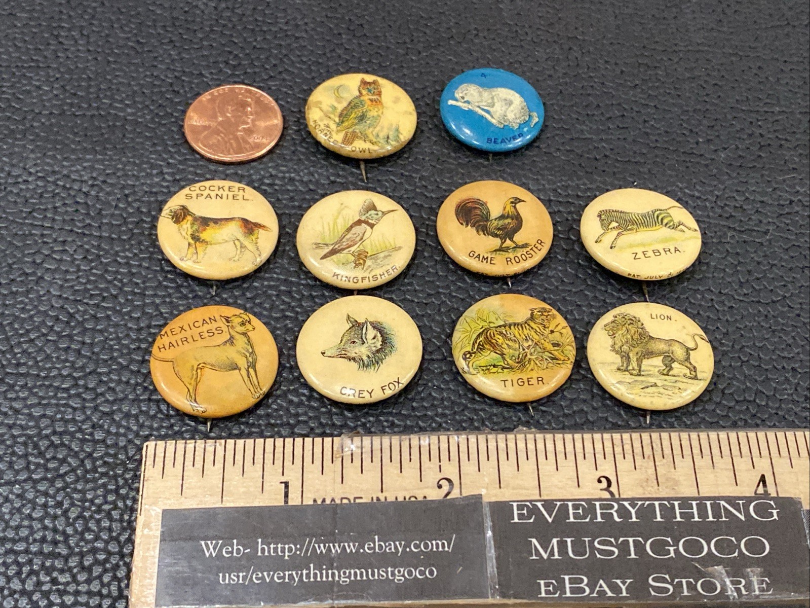 VTG Lot ANTIQUE 1890s Pepsin Gum Celluloid Animals Button Pins Whitehead & Hoag