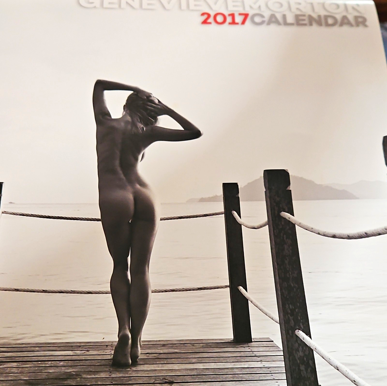 Genevieve Morton 2017 Calendar Wall Calendar