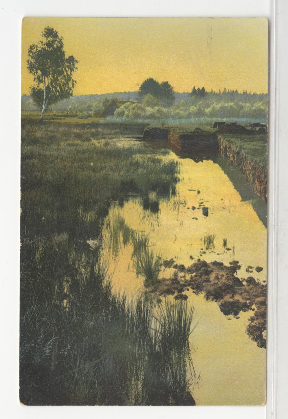 CT Postcard View Of Swamp & Marsh - Willimantic, Connecticut Postmark 1910 37