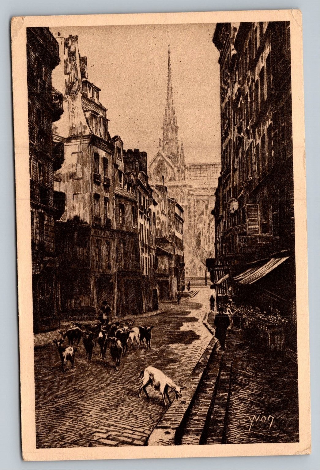 Rue du Haut-Pavé Paris Postcard YVON Notre Dame Cathedral Goats France Rue du Haut-Pavé Paris Postcard YVON Notre Dame Cathedral Goats France