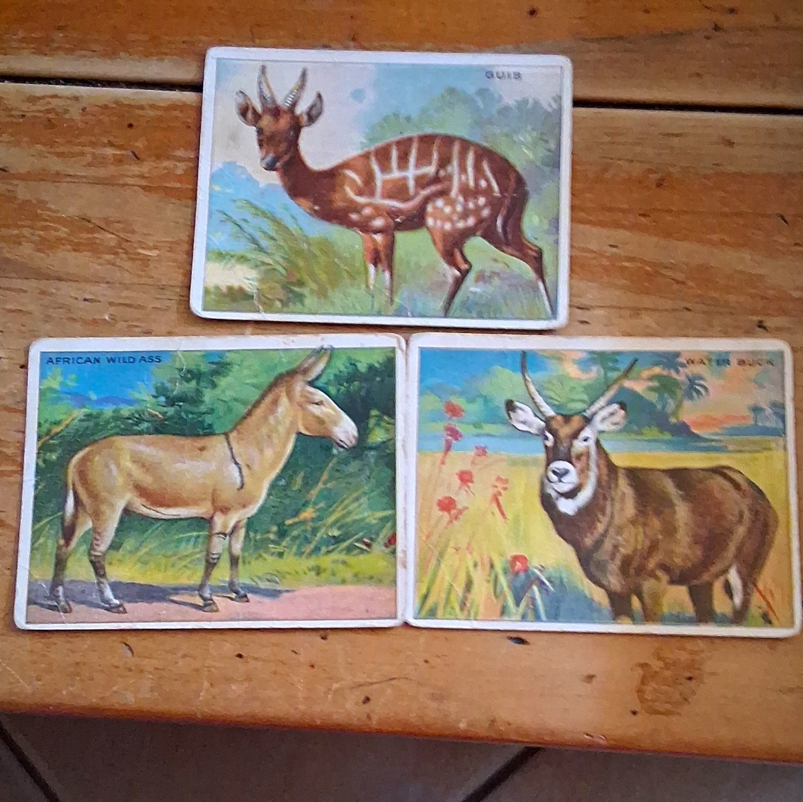 Hassan Cork Tip Cigarettes Tobacco Cards Lot of 3: Gnu, Wild Ass, Waterbuck