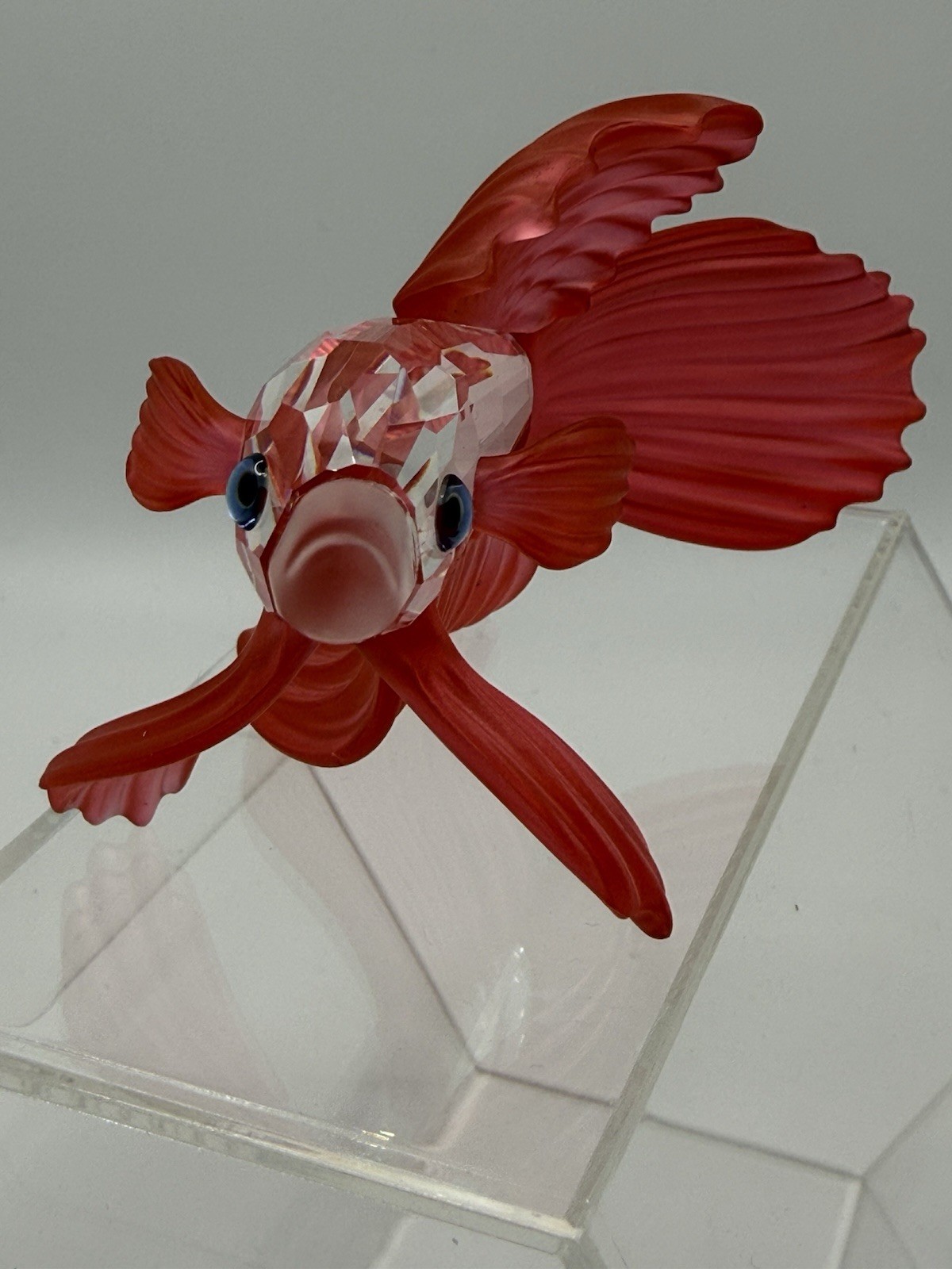 Swarovski SIAMESE FIGHTING FISH - RED (660941, 7644 NR 000 013) - MIB + COA Swarovski SIAMESE FIGHTING FISH - RED (660941, 7644 NR 000 013) - MIB + COA