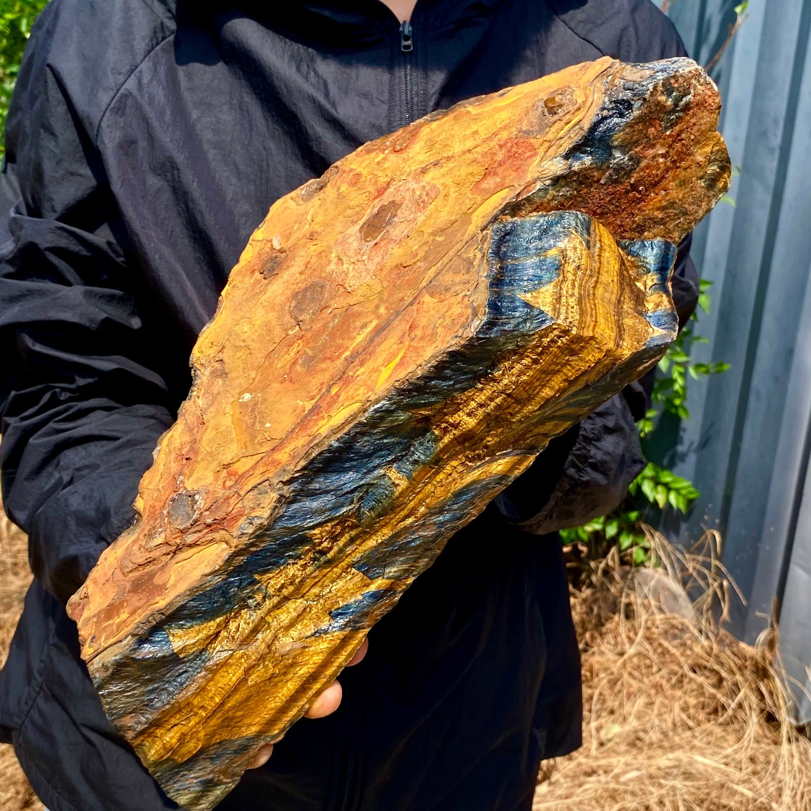 16.84LB Natural tiger's Eye rough raw stone rock specimrn madagescar
