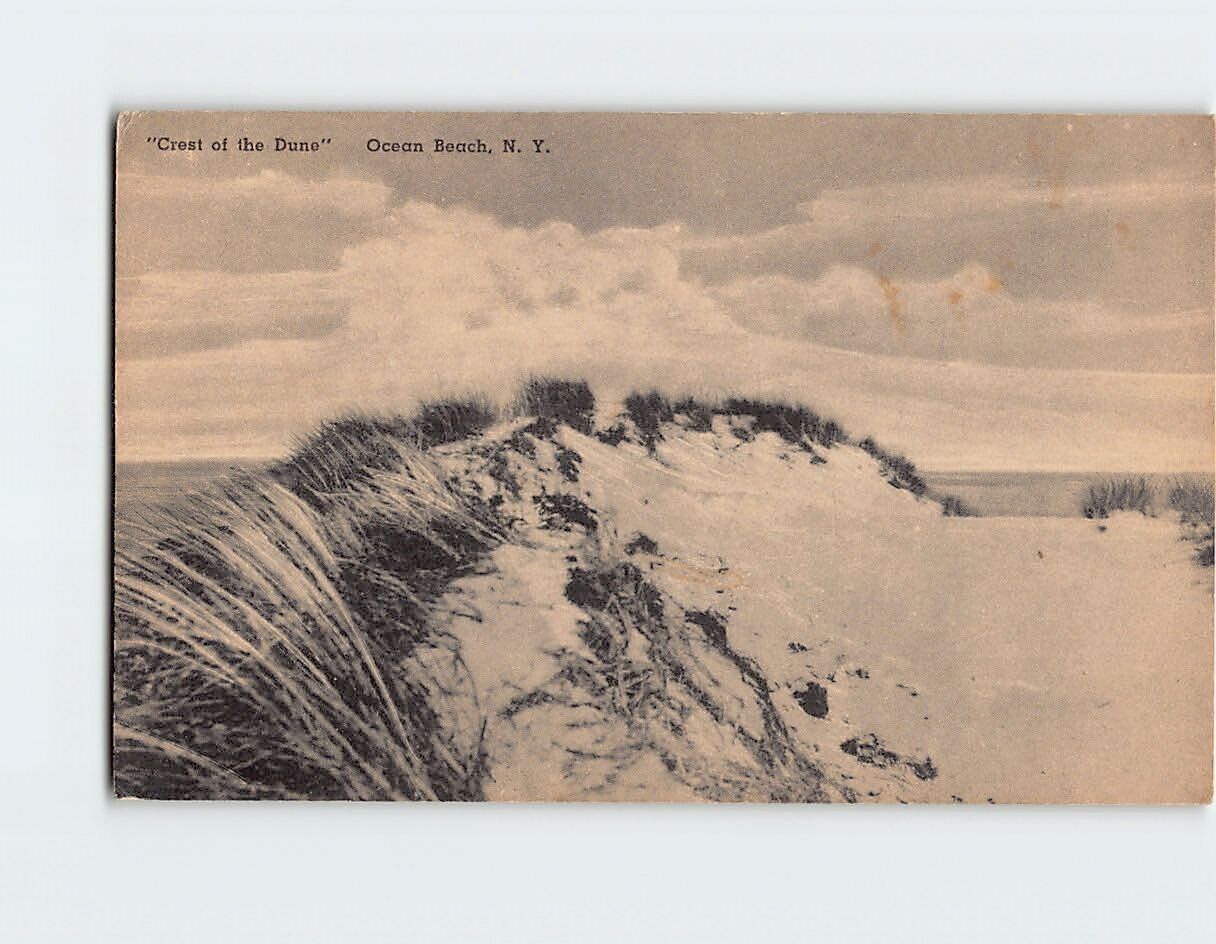 Postcard Crest of the Dune Ocean Beach New York USA North America