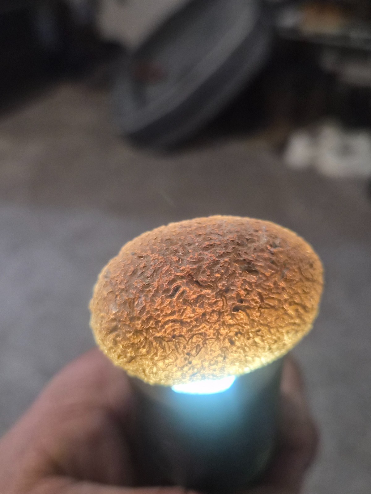 100%Fully Translucent, Saffordite Cintamani, Star Stone,Tektite44GRAMS