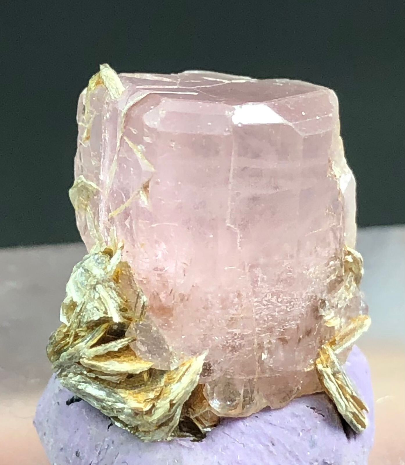 15 CT Beautiful Fluorescent Pink Apatite Crystal With Muscuvite From Nagar Pak