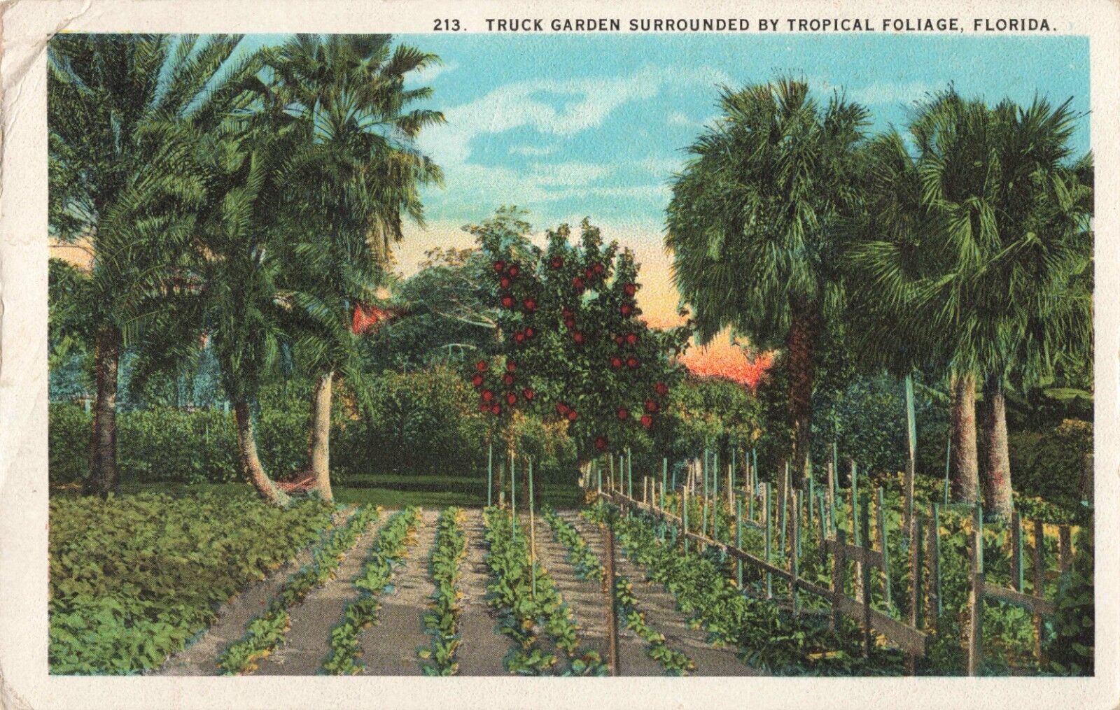 Lakeland FL Florida, Truck Garden Tropical Foliage, Vintage Postcard