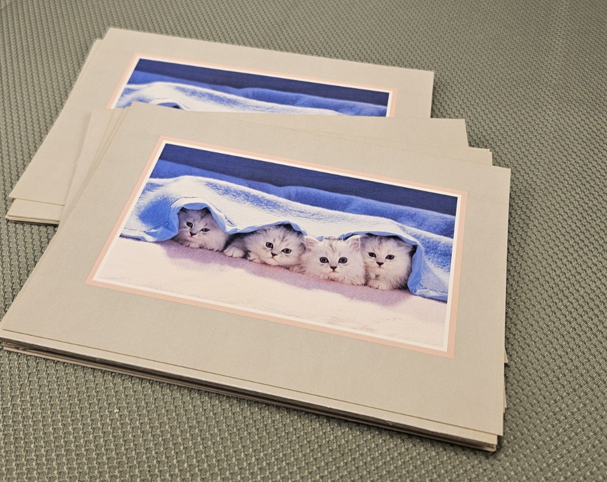 Lot Of 19 Vtg Cat Greeting Cards, Colorful Images