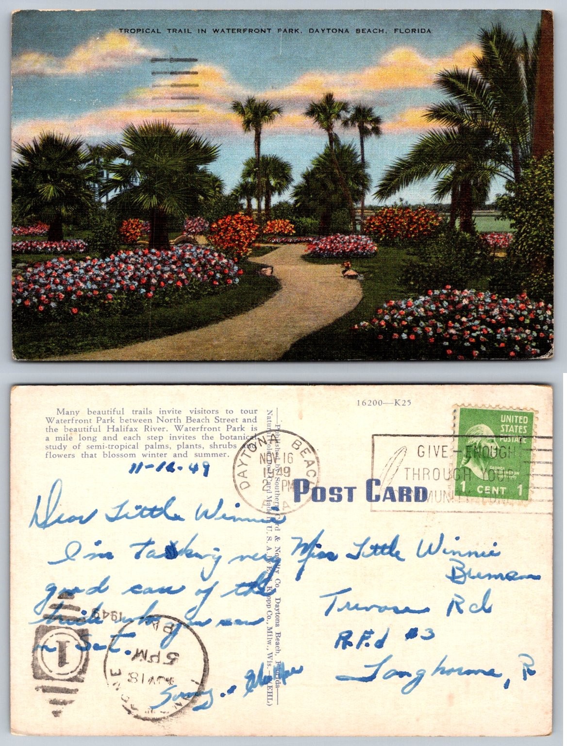 Vintage Daytona Beach FL Waterfront Park Tropical Trail Postcard 1949 E.C. Kropp